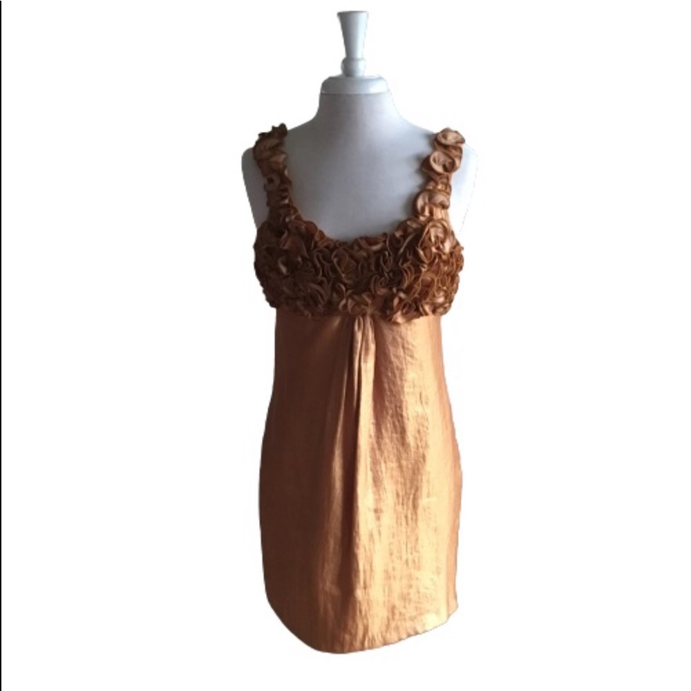 Alexa Admor Strapless Copper Mini Dress Rosettes Fully Lined Small